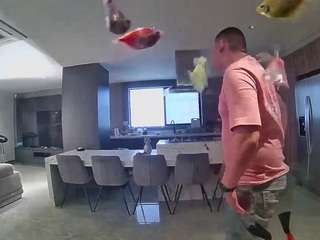 voyeurcam-casa-salsa-fishtank
