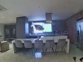 voyeurcam-casa-salsa-fishtank