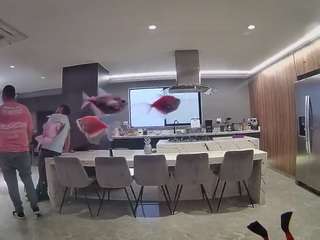 voyeurcam-casa-salsa-fishtank