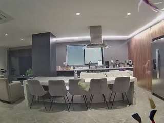 voyeurcam-casa-salsa-fishtank