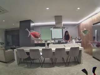 voyeurcam-casa-salsa-fishtank