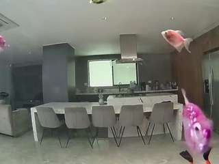 voyeurcam-casa-salsa-fishtank