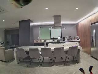 voyeurcam-casa-salsa-fishtank