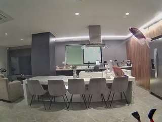 voyeurcam-casa-salsa-fishtank