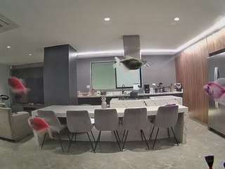 voyeurcam-casa-salsa-fishtank
