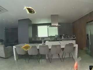 voyeurcam-casa-salsa-fishtank