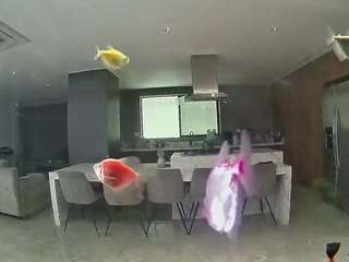 voyeurcam-casa-salsa-fishtank