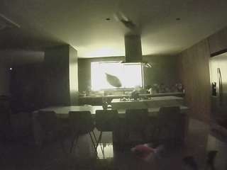 voyeurcam-casa-salsa-fishtank