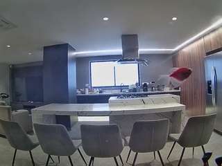 voyeurcam-casa-salsa-fishtank