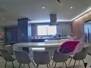 voyeurcam-casa-salsa-fishtank