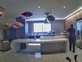 voyeurcam-casa-salsa-fishtank