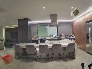 voyeurcam-casa-salsa-fishtank