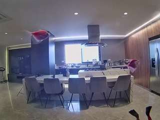 voyeurcam-casa-salsa-fishtank