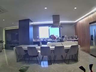voyeurcam-casa-salsa-fishtank