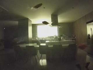 voyeurcam-casa-salsa-fishtank from CamSoda