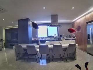 voyeurcam-casa-salsa-fishtank