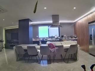 voyeurcam-casa-salsa-fishtank