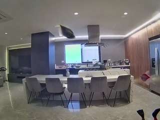 voyeurcam-casa-salsa-fishtank