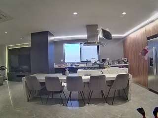 voyeurcam-casa-salsa-fishtank