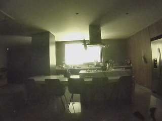 voyeurcam-casa-salsa-fishtank