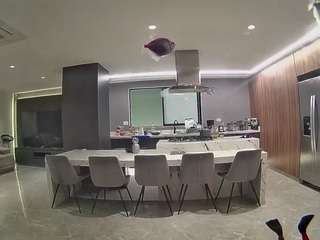 voyeurcam-casa-salsa-fishtank