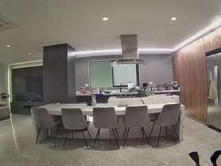 voyeurcam-casa-salsa-fishtank