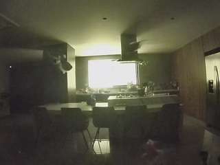 voyeurcam-casa-salsa-fishtank