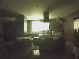 voyeurcam-casa-salsa-fishtank