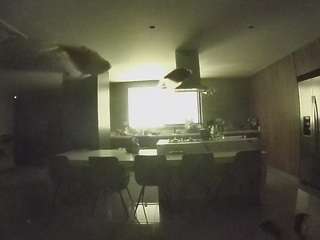 voyeurcam-casa-salsa-fishtank