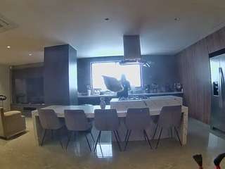 voyeurcam-casa-salsa-fishtank camsoda