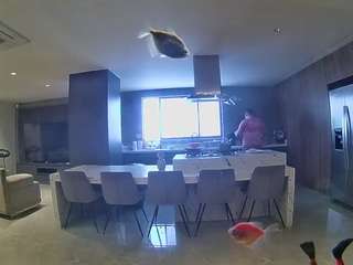 voyeurcam-casa-salsa-fishtank camsoda