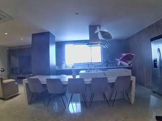 voyeurcam-casa-salsa-fishtank