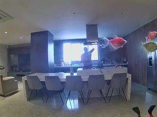 voyeurcam-casa-salsa-fishtank