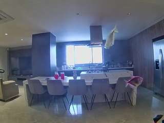 voyeurcam-casa-salsa-fishtank