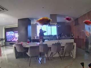 voyeurcam-casa-salsa-fishtank