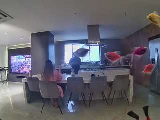 voyeurcam-casa-salsa-fishtank