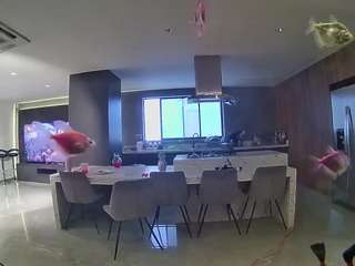voyeurcam-casa-salsa-fishtank