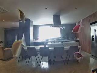 voyeurcam-casa-salsa-fishtank