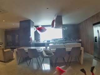 voyeurcam-casa-salsa-fishtank