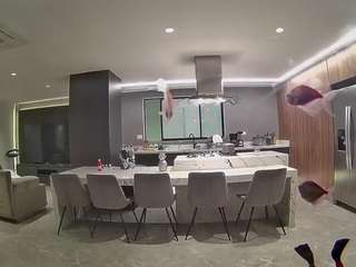 voyeurcam-casa-salsa-fishtank