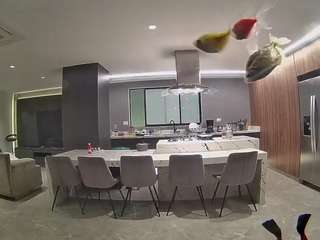 voyeurcam-casa-salsa-fishtank