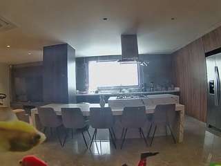 voyeurcam-casa-salsa-fishtank camsoda