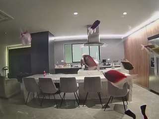 voyeurcam-casa-salsa-fishtank