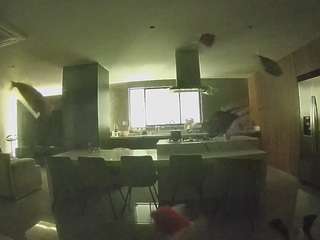 voyeurcam-casa-salsa-fishtank