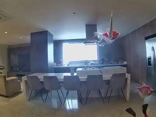 voyeurcam-casa-salsa-fishtank