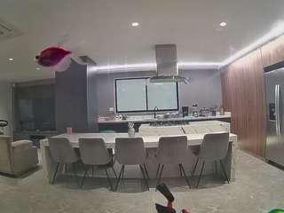 voyeurcam-casa-salsa-fishtank