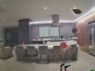 voyeurcam-casa-salsa-fishtank