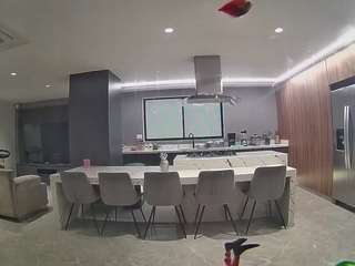 voyeurcam-casa-salsa-fishtank