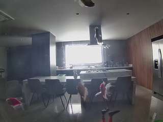 voyeurcam-casa-salsa-fishtank camsoda
