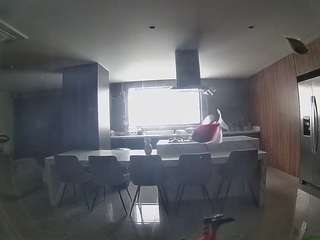 voyeurcam-casa-salsa-fishtank